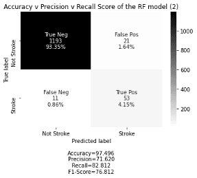 Stroke Prediction AI Model visual 6